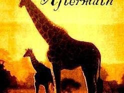 Giraffe Aftermath