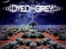 Dyed In Grey