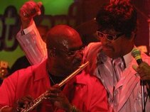 Ron Matthews "The One & Only"  Musician Extraordinaire