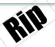 ReverbNation profile picture for @rip