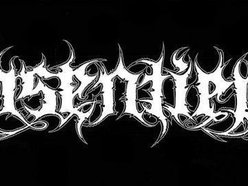 Image for Insentient