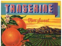 Tom Sweet