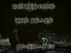 Image for Disturbing The Peace