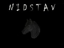 NidStav