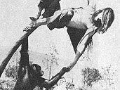 Image for Tadg Galleran