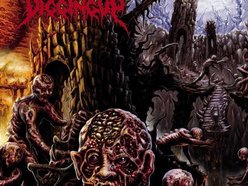 Image for Digging Up