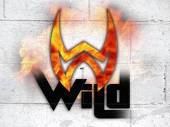 Image for Wild