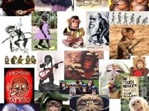 Felonious Monkey