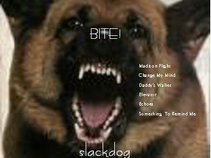 Slackdog