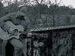 StreetChoir