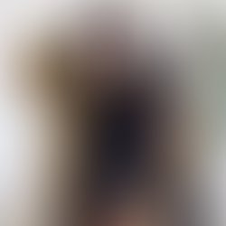 Artist 132683 1746555583