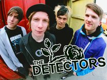THE DETECTORS