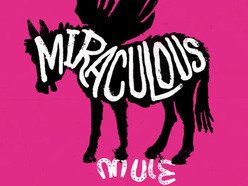 Image for Miraculous Mule