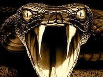 AlbinoLizard.NY (ALPHAHOUSE)