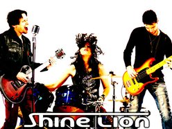 Image for Shine Lion