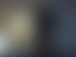 1301981082 110330 130116