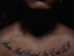 Image for Los Difuntos