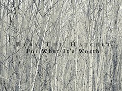Image for Bury The Hatchet