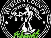 Hudson County Skvmbags