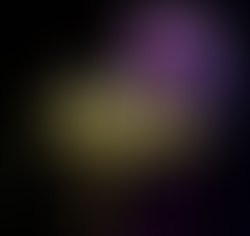 1429051889 wonderland finalcover