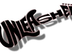 Image for Unleashed