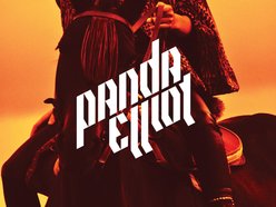 Image for Panda Elliot