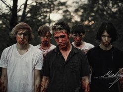 Image for Stained Ashes