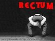 RECTUM