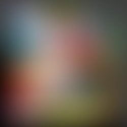 Adobe 20191128 113309