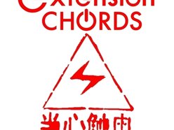 Image for Extension Chords
