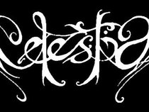 Celestia