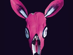 Donkey Hot Pink