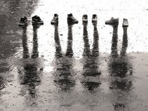 Return of the Douche