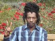 Equal  Balance  Riddim    I