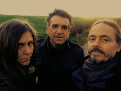 Image for ELECTRIC MOON