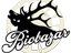 Biobazar (Artist)