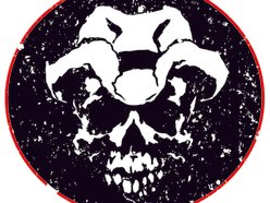Image for The Streakin' Healys
