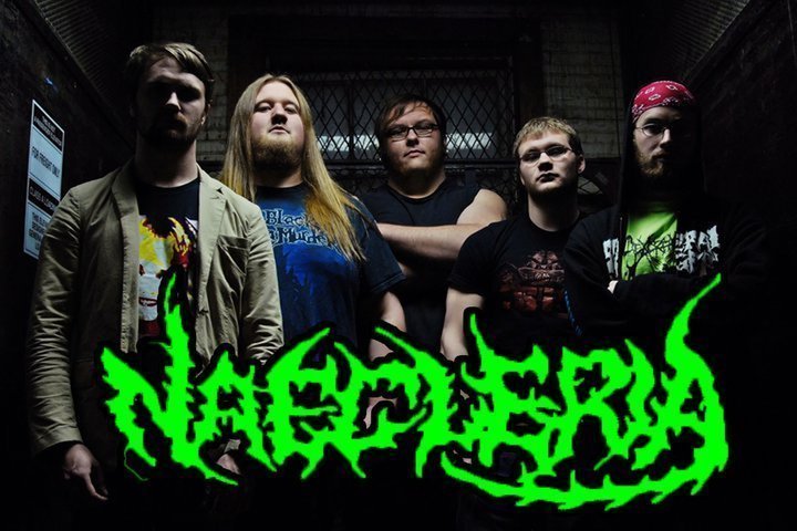 ReverbNation profile picture for @naegleria