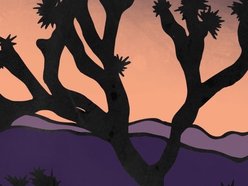 Image for The Shady Rest Band