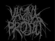 vagina project
