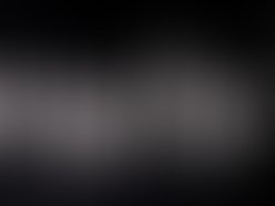 Logo 1298523463 1298523550