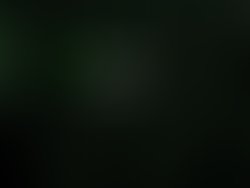 1324646814 10150251146304724 775479723 7498035 2763806 n