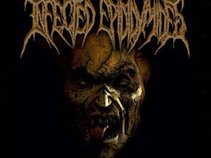 Infected Epididymides