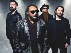 Skindred
