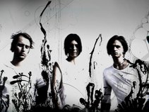Dead Leaf Echo