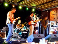 Image for King Cotton