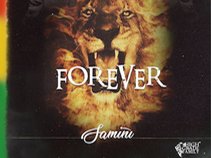 SAMINI