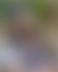 Screenshot 20230925 212156 instagram