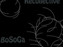 BoSoGa