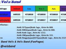 Vei's Band